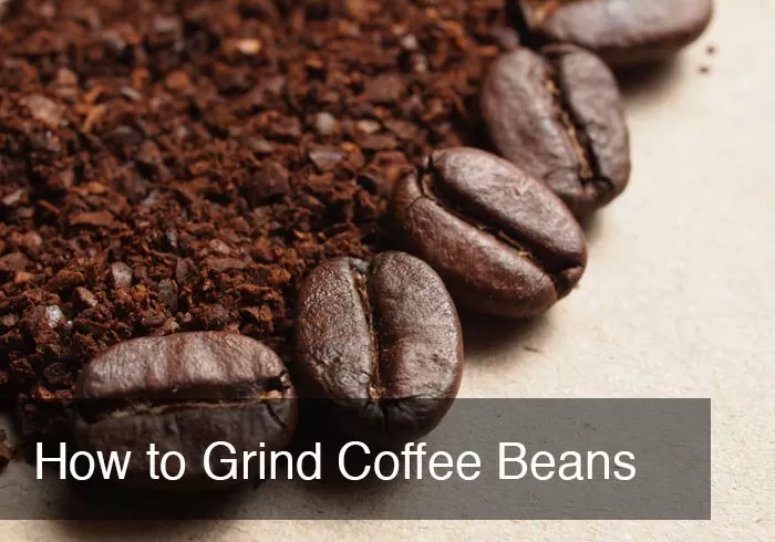 How to Grind Whole Coffee Beans in a Ninja Blender - Test Kitchen Tuesday