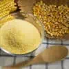 https://www.blenderbabes.com/wp-content/uploads/How-to-Make-Cornmeal-100x100.webp