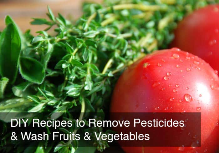 Homemade Fruit and Vegetable Cleaner - Vegan Program