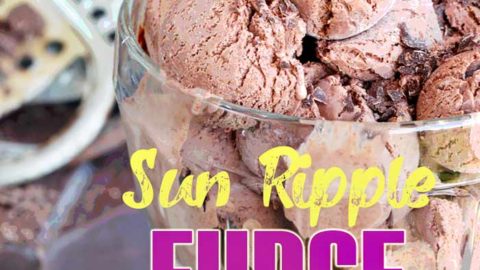 https://www.blenderbabes.com/wp-content/uploads/Sun-Ripple-Fudge-Ice-Cream-Pinterest-480x270.jpg