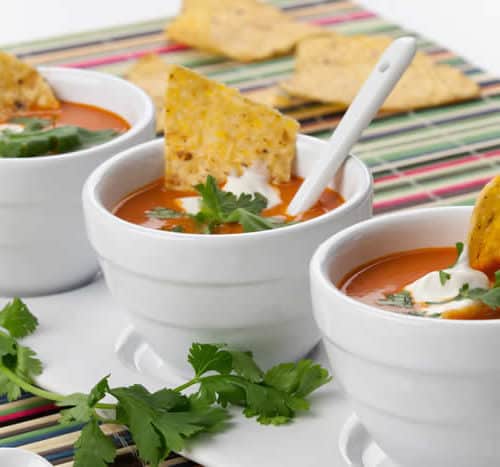 Tasty Vegetarian Tortilla Soup Recipe Blender Babes