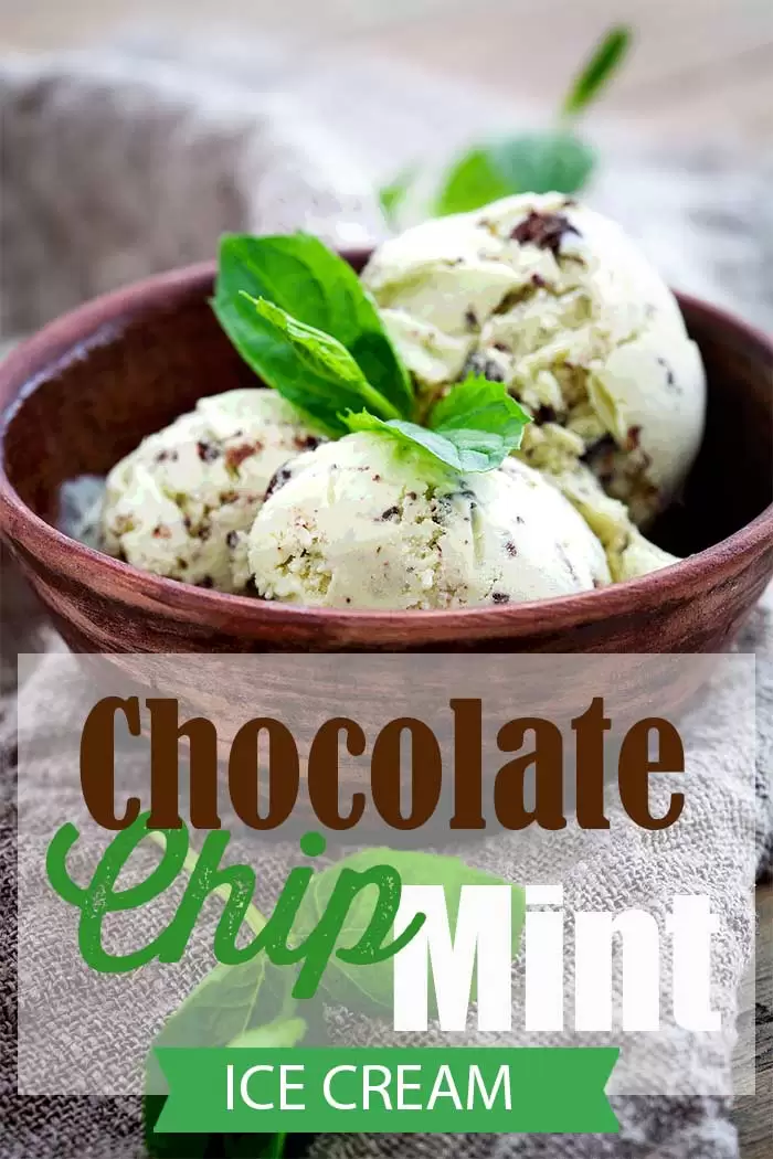 Chocolate Chip Mint Ice Cream Recipe
