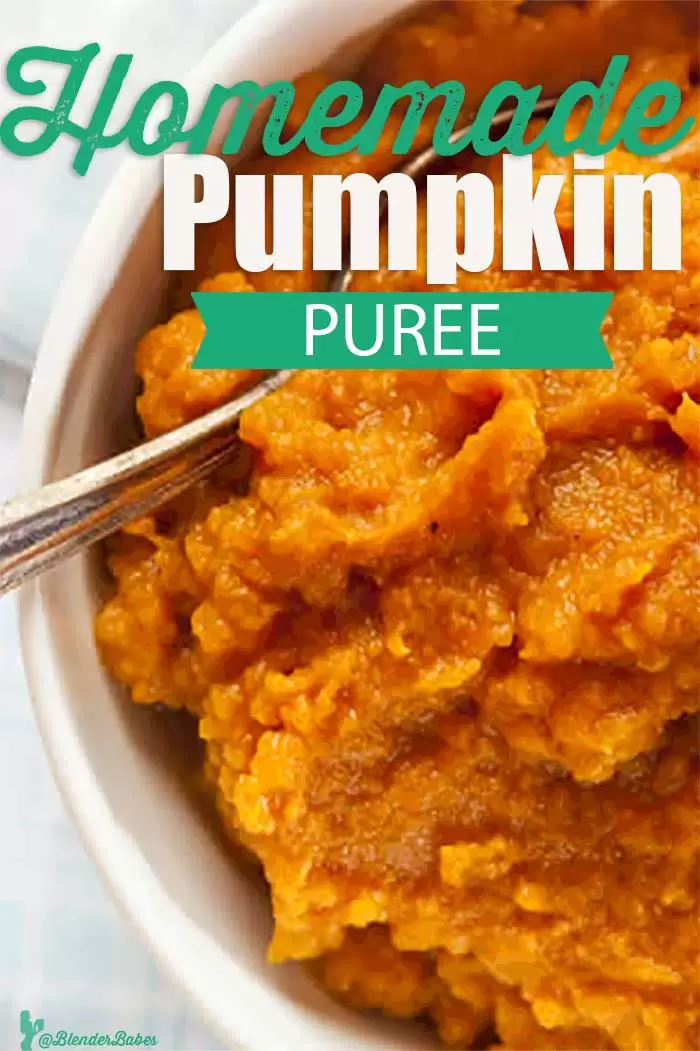 Easy Homemade Pumpkin Puree by Blender Babes